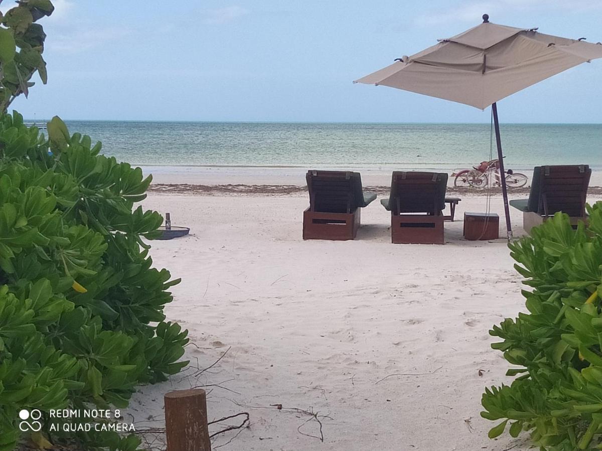 Mi Habitat Holbox-Maravilla Natural Ilha Holbox Exterior foto