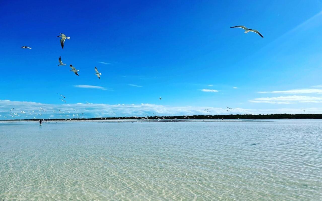 Mi Habitat Holbox-Maravilla Natural Ilha Holbox Exterior foto
