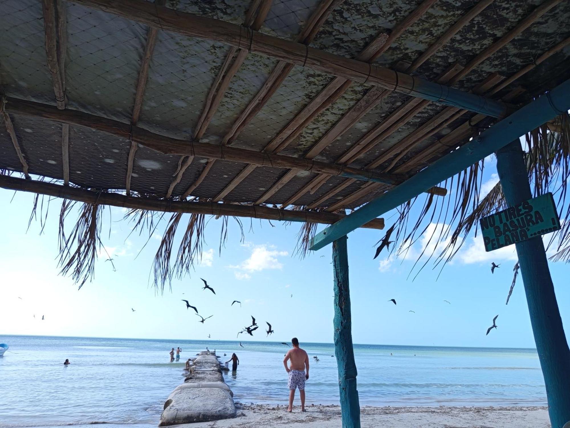 Mi Habitat Holbox-Maravilla Natural Ilha Holbox Exterior foto